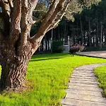 El Pueblin Del Pinar