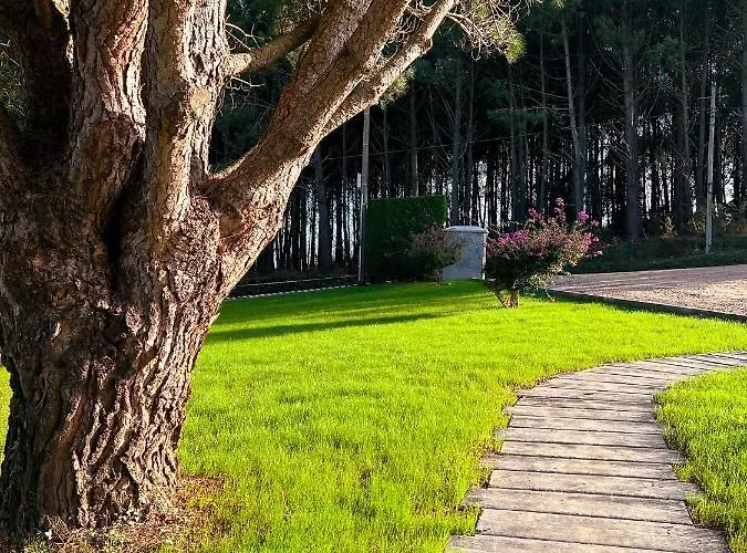 El Pueblin Del Pinar